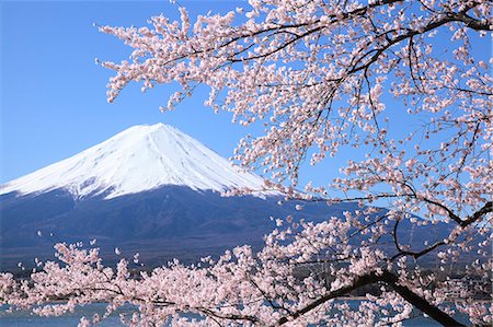 fuji nationalpark - Mount Fuji Stock Photo - Premium Royalty-Free, Code: 622-07519736