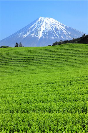 simsearch:622-07519745,k - Mount Fuji Foto de stock - Sin royalties Premium, Código: 622-07519929