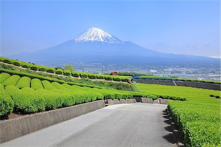 simsearch:622-07811053,k - Mount Fuji Photographie de stock - Premium Libres de Droits, Code: 622-07519938