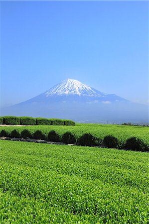 simsearch:622-07519745,k - Mount Fuji Foto de stock - Sin royalties Premium, Código: 622-07519932