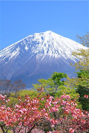 simsearch:622-07519745,k - Mount Fuji Foto de stock - Sin royalties Premium, Código: 622-07519955