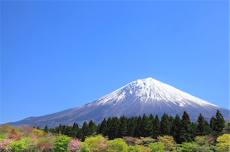 fuji nationalpark - Mount Fuji Stock Photo - Premium Royalty-Free, Code: 622-07519958