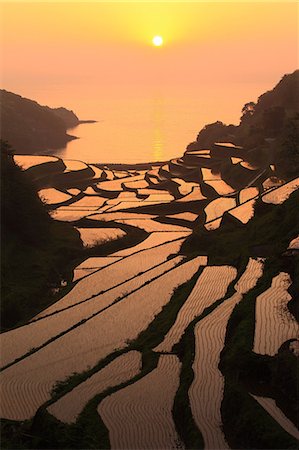 simsearch:622-06549437,k - Terraced Rice Field, Japan Foto de stock - Sin royalties Premium, Código: 622-07760463
