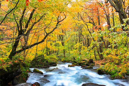 simsearch:859-07442165,k - Autumn colors, Aomori Prefecture, Japan Stock Photo - Premium Royalty-Free, Code: 622-07841259