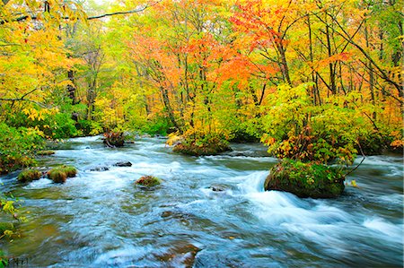 simsearch:859-07442165,k - Autumn colors, Aomori Prefecture, Japan Stock Photo - Premium Royalty-Free, Code: 622-07841274