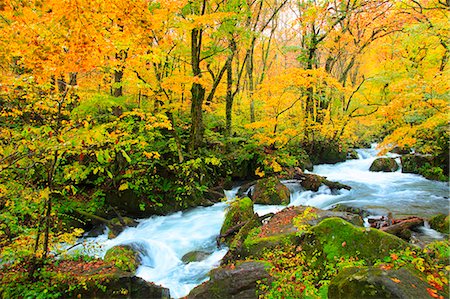 simsearch:859-07442165,k - Autumn colors, Aomori Prefecture, Japan Stock Photo - Premium Royalty-Free, Code: 622-07841270