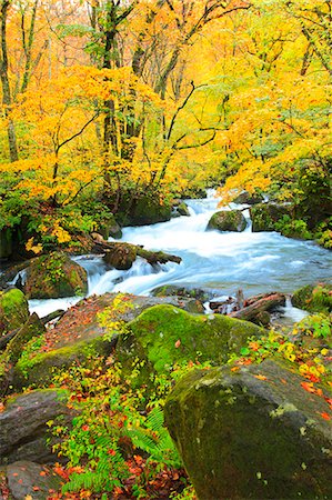 simsearch:859-07442165,k - Autumn colors, Aomori Prefecture, Japan Stock Photo - Premium Royalty-Free, Code: 622-07841271