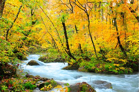 simsearch:859-07442165,k - Autumn colors, Aomori Prefecture, Japan Stock Photo - Premium Royalty-Free, Code: 622-07841272