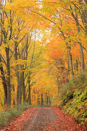 earth painting - Autumn colors, Aomori Prefecture, Japan Stock Photo - Premium Royalty-Free, Code: 622-07841345