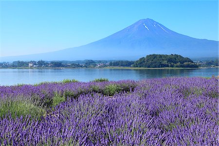 fuji nationalpark - Fuji Five Lakes, Yamanashi Prefecture, Japan Stock Photo - Premium Royalty-Free, Code: 622-07841484