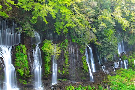 shiraito falls - Shizuoka Prefecture, Japan Stock Photo - Premium Royalty-Free, Code: 622-07911625