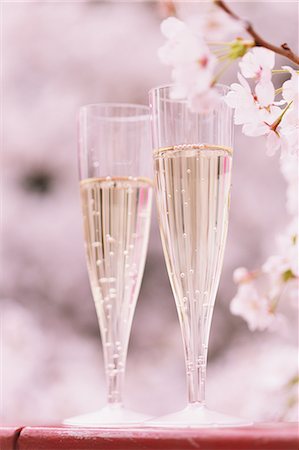 Champagne and cherry blossoms Photographie de stock - Premium Libres de Droits, Code: 622-08007273