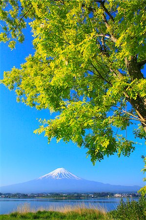 snow bank - Yamanashi Prefecture, Japan Stock Photo - Premium Royalty-Free, Code: 622-08065469