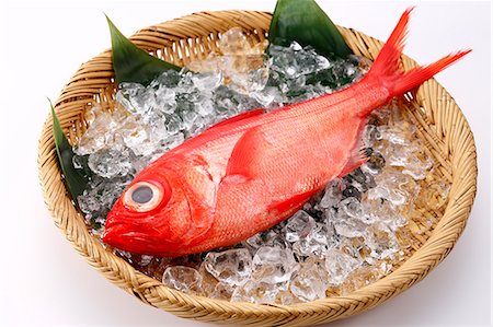 red snapper - Red Snapper Stock Photo - Premium Royalty-Free, Code: 622-09014266