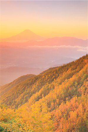 simsearch:859-08359600,k - Beautiful view of Mount Fuji and autumn leaves, Yamanashi Prefecture, Japan Photographie de stock - Premium Libres de Droits, Code: 622-09101155
