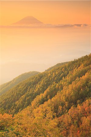 simsearch:859-08359600,k - Beautiful view of Mount Fuji and autumn leaves, Yamanashi Prefecture, Japan Photographie de stock - Premium Libres de Droits, Code: 622-09101156