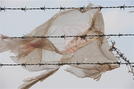 Plastic Bag on Barbed Wire Stock Photo - Premium Royalty-Free, Code: 622-02354308
