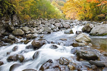 River Passing Through Nakatsugawa Ravine, Japan Stock Photo - Premium Royalty-Free, Code: 622-02759277