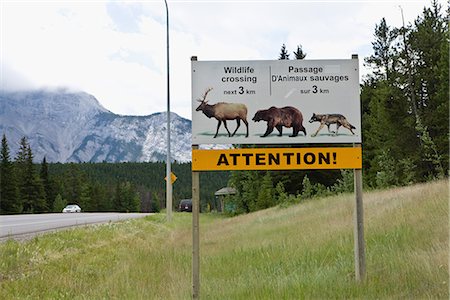 simsearch:622-02759675,k - Banff National Park in Alberta, Canada Stock Photo - Premium Royalty-Free, Code: 622-02759640