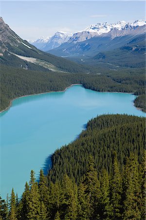 simsearch:622-02759675,k - Peyto Lake in the Canadian Rockies Stock Photo - Premium Royalty-Free, Code: 622-02759695