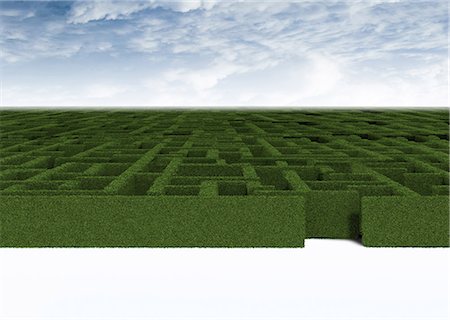 Green maze Stock Photo - Premium Royalty-Free, Code: 630-06723645
