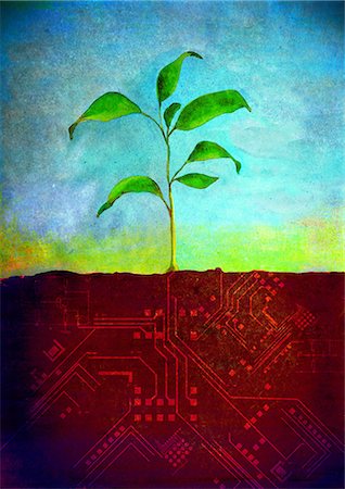 Plant growing on a computer board Stock Photo - Premium Royalty-Free, Code: 630-06723731