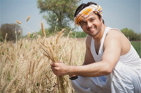 farm images of happy people - Farmer harvesting wheat crop, Sohna, Haryana, India Stock Photo - Premium Royalty-Free, Code: 630-07071135