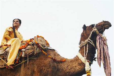 Low angle view of a young woman riding a camel Stock Photo - Premium Royalty-Free, Code: 630-01077337