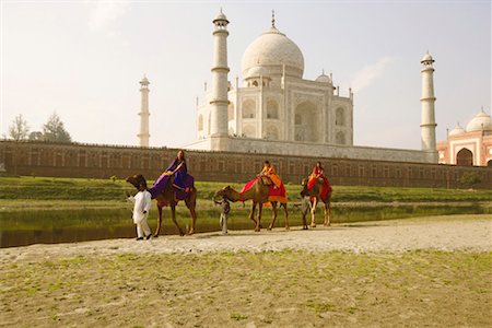 simsearch:630-03481463,k - Tourist riding camels, Taj Mahal, Agra, Uttar Pradesh, India Stock Photo - Premium Royalty-Free, Code: 630-01127850