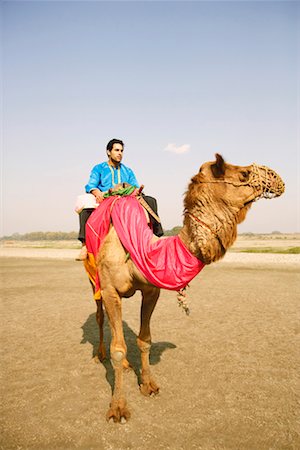 Low angle view of a young man riding a camel Stock Photo - Premium Royalty-Free, Code: 630-01129886