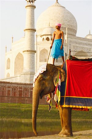 Low angle view of a young man standing on an elephant in front of a mausoleum, Taj Mahal, Agra, Uttar Pradesh, India Stock Photo - Premium Royalty-Free, Code: 630-01131544