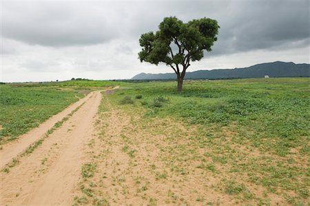 pushkar - Dirt road passing through a landscape, Pushkar, Rajasthan, India Stock Photo - Premium Royalty-Free, Code: 630-01490483