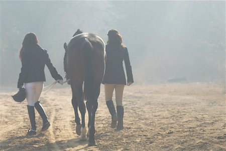 Rear view of two women walking with a horse Stock Photo - Premium Royalty-Free, Code: 630-01491885