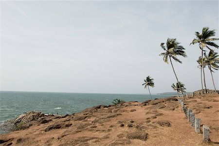 simsearch:841-03672349,k - Palm trees on the beach, Vagator Beach, Goa, India Stock Photo - Premium Royalty-Free, Code: 630-01492444