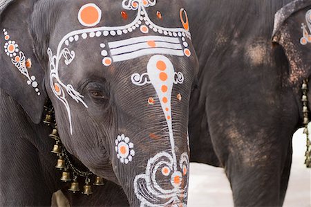 decorated asian elephants - Close-up of elephant's head decorated with paint, Kamakshi Amman Temple, Kanchipuram, Tamil Nadu, India Stock Photo - Premium Royalty-Free, Code: 630-01707719