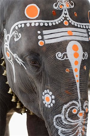 decorated asian elephants - Close-up of elephant's head decorated with paint, Kamakshi Amman Temple, Kanchipuram, Tamil Nadu, India Stock Photo - Premium Royalty-Free, Code: 630-01707720