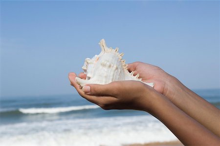 Close-up of a woman's hand holding a conch shell on the beach Stock Photo - Premium Royalty-Free, Code: 630-01876965