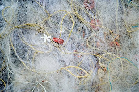Close-up of commercial fishing net, Cochin, Kerala, India Stock Photo - Premium Royalty-Free, Code: 630-03479201