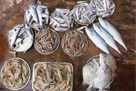 purchase asia - High angle view of dead fish at a market stall, Cochin, Kerala, India Stock Photo - Premium Royalty-Free, Code: 630-03479203