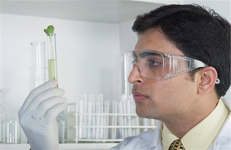 Scientist examining a plant in test tube Stock Photo - Premium Royalty-Free, Code: 630-03480956