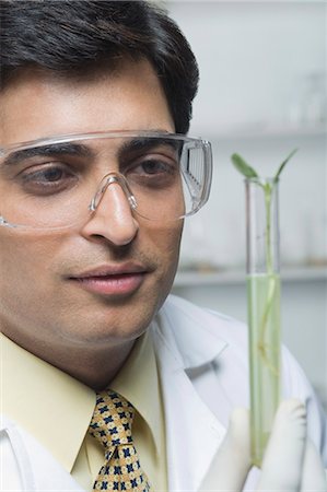 Scientist examining a plant in test tube Stock Photo - Premium Royalty-Free, Code: 630-03480951