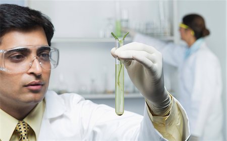 Scientist holding plants in test tube Stock Photo - Premium Royalty-Free, Code: 630-03480953