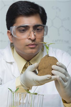 simsearch:630-03481457,k - Scientist examining a plant Foto de stock - Sin royalties Premium, Código: 630-03480965