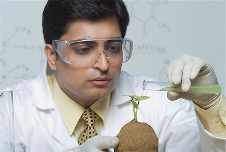 simsearch:630-03481457,k - Scientist experimenting on a plant Foto de stock - Sin royalties Premium, Código: 630-03480967