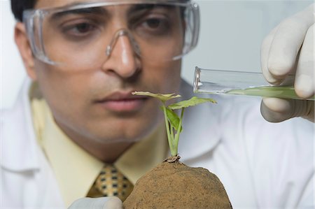simsearch:630-03481457,k - Scientist experimenting on a plant Foto de stock - Sin royalties Premium, Código: 630-03480969