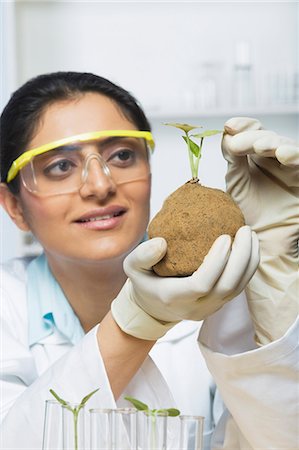 simsearch:649-07585094,k - Scientist examining a plant Stock Photo - Premium Royalty-Free, Code: 630-03480974