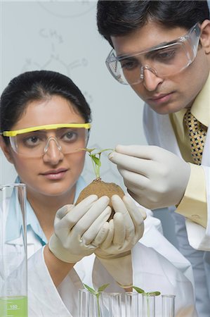 Scientists examining a plant Stock Photo - Premium Royalty-Free, Code: 630-03480970
