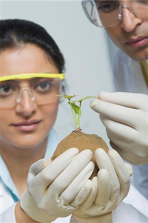 simsearch:694-03331631,k - Scientists examining a plant Stock Photo - Premium Royalty-Free, Code: 630-03480971