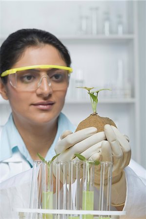 simsearch:649-07585094,k - Scientist examining a plant Stock Photo - Premium Royalty-Free, Code: 630-03480972
