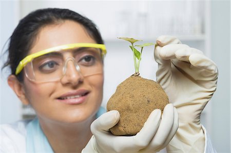 simsearch:649-07585094,k - Scientist examining a plant Stock Photo - Premium Royalty-Free, Code: 630-03480973